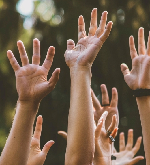 Several hands and arms are raised in the air outdoors, fingers spread wide, with trees and sunlight blurred in the background. Some hands have rings or wristbands.